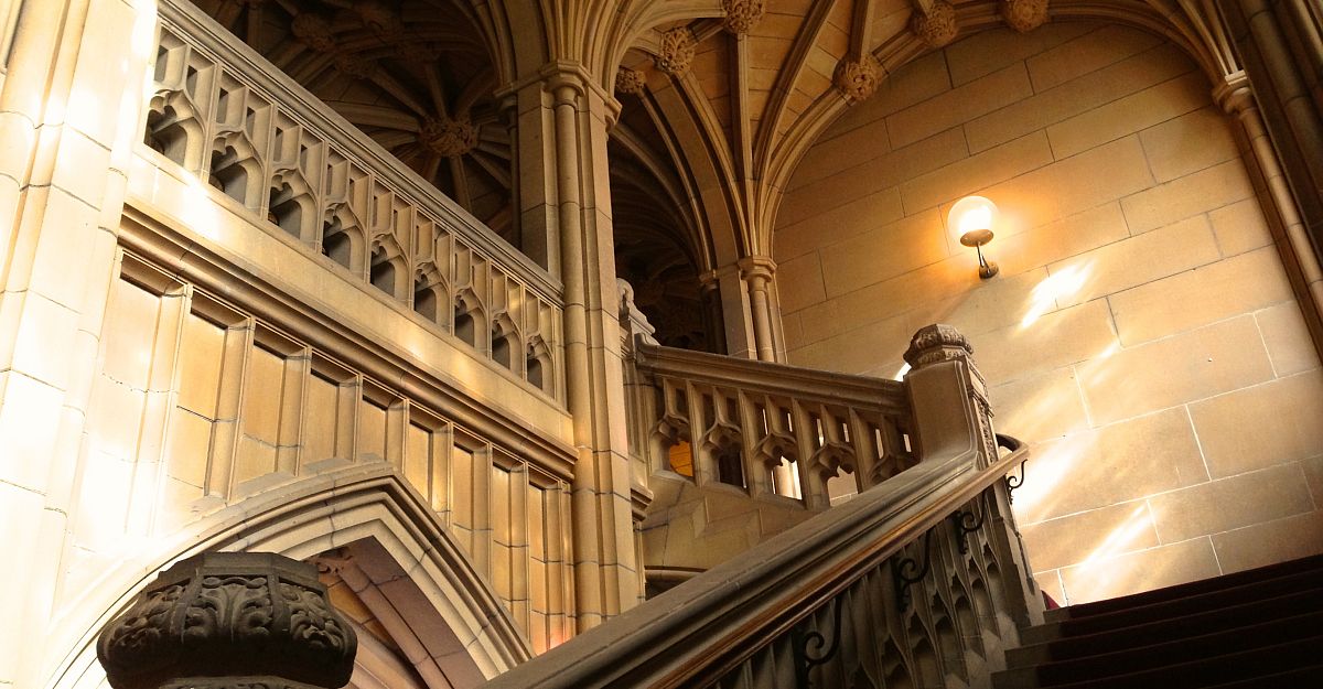 A Convocation for Gaza: decision looms on historic meeting of alumni and academics - Overland literary journal