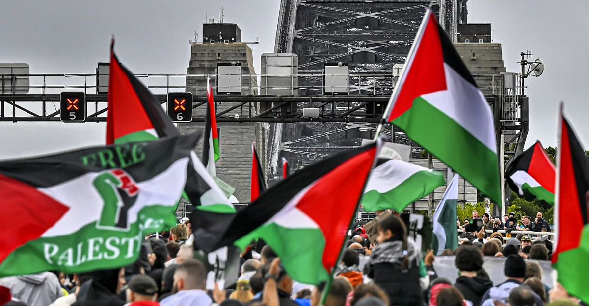 One year after the Bridge: Palestine, people-power and Australia’s conscience - Overland literary journal