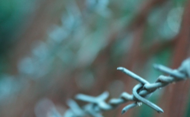 barbed